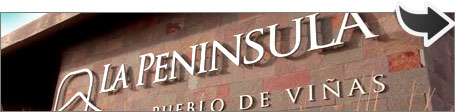 La Peninsula, pueblo de vi�as Neuquen